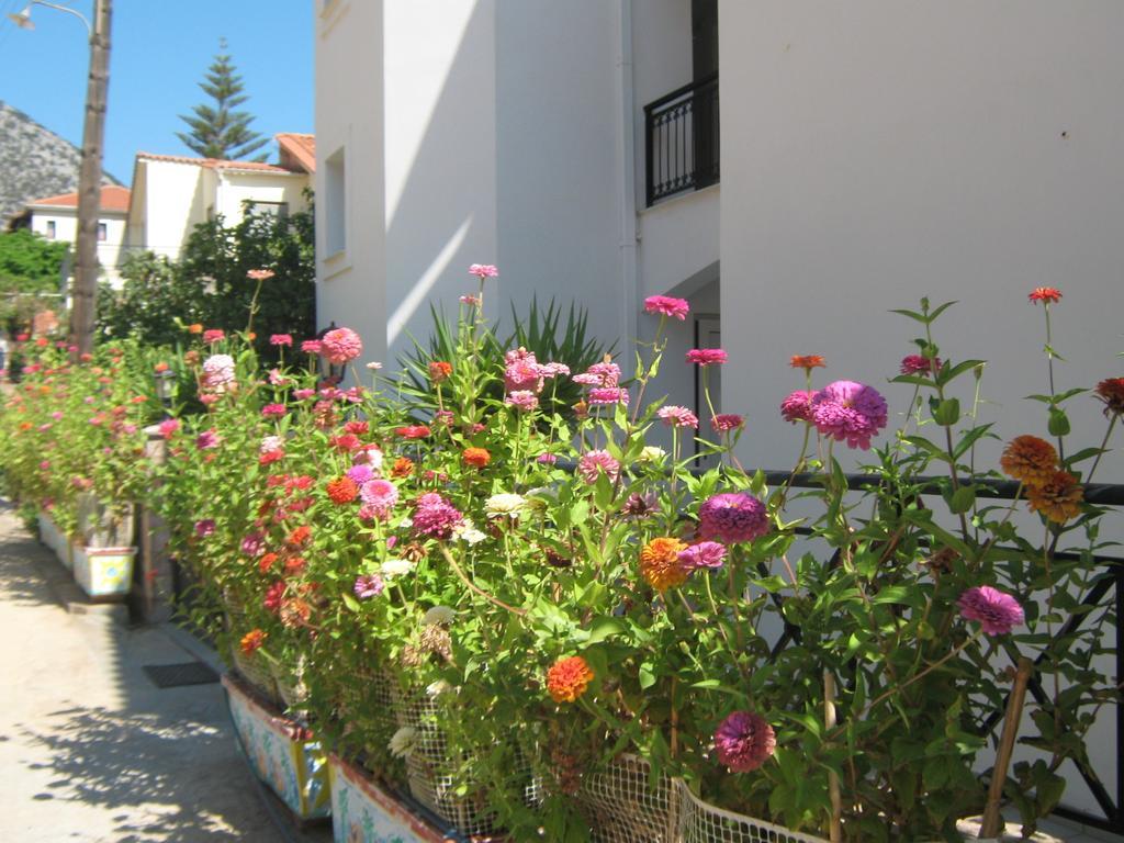 Friderica House Hotel Poros  Cameră foto