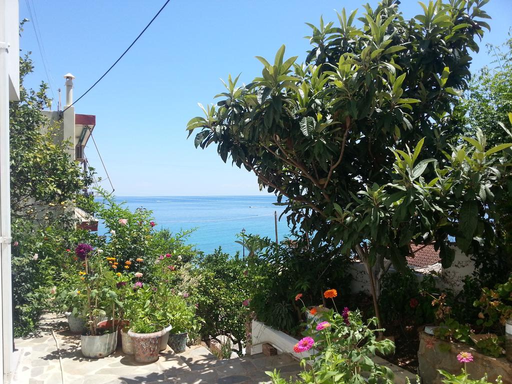 Friderica House Hotel Poros  Exterior foto